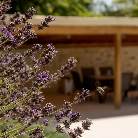 Perla Balaton * تشوباك