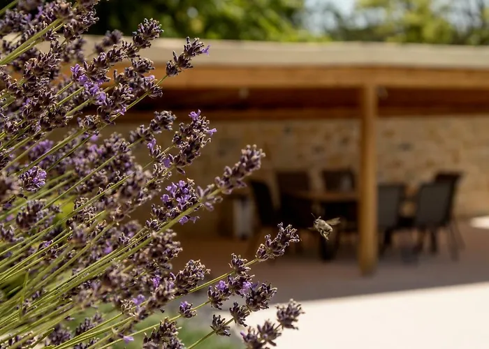 Perla Balaton * Csopak